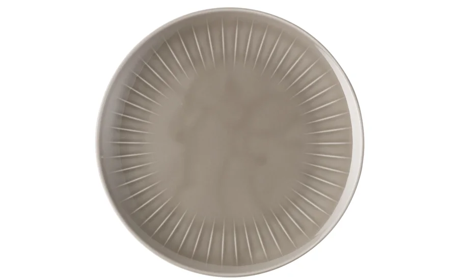 Joyn grau Speiseteller 24cm