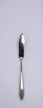 Ritz Fischmesser 19.7cm