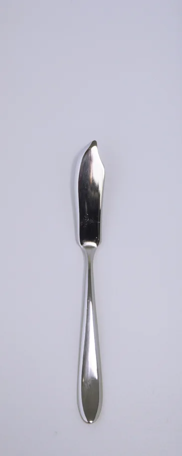 Ritz Fischmesser 19.7cm