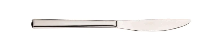 Synthesis Tafelmesser Monobloc 22.5cm