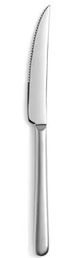 Courchevel Steakmesser edelstahl matt