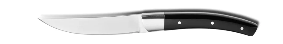 Steakmesser Zermatt 227mm