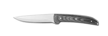 4-tlg. Set Steakmesser Torino, geblistert