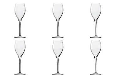 6er Set Sparkling&Water Champagnerkelch 210ml h: 205mm