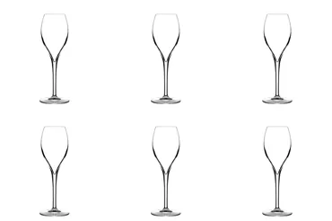 6er Set Opale Champagnerglas 16cl