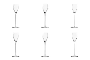 6er Set Quatrophil Bar&Liqueur Edelbrand 65ml H: 195mm