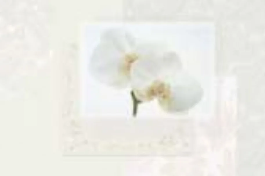 Chachemire White Tischset, 45x30cm