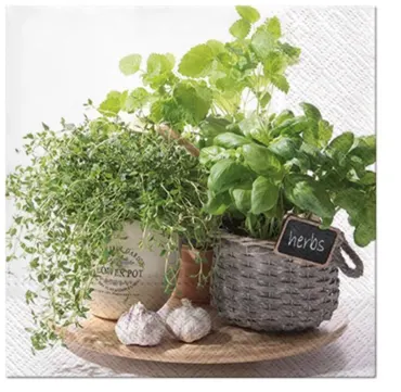 Servietten Lunch 20x Kräuter, 33x33cm