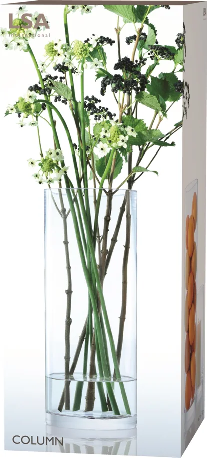 Column Vase Giant D20cm H50cm transparent