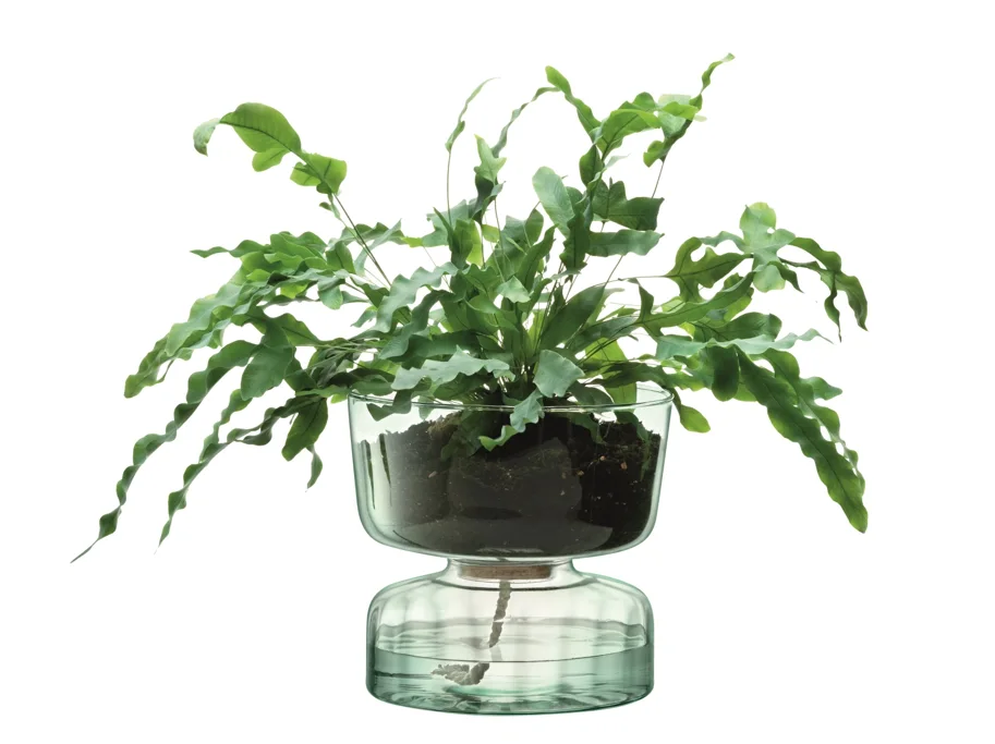 Canopy selbstbewässernder Topf H22cm recycletes Glas