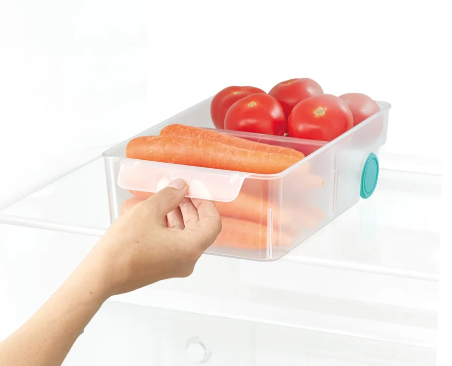 FridgeStore Aufbewahrungsbox gross