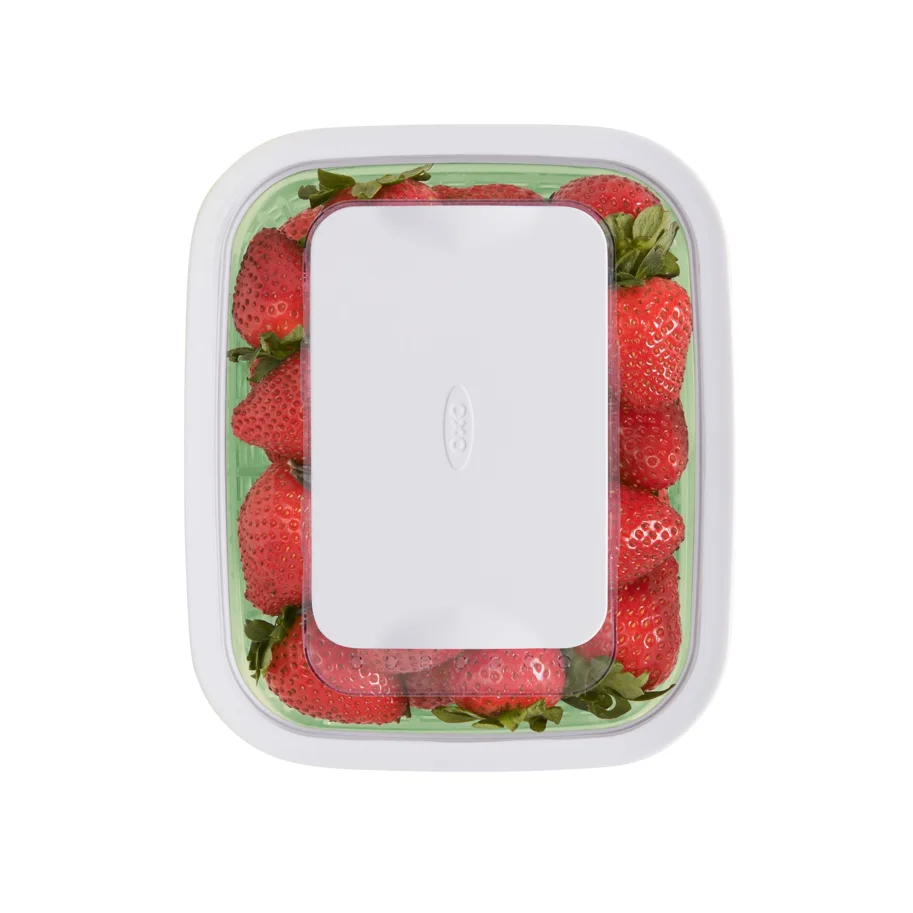 GG Greensaver Aufbewahrungsbehälter, 17x15x10cm