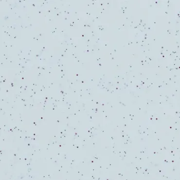 Tablett Octagon Polyclassic, Grau 42,5x32cm