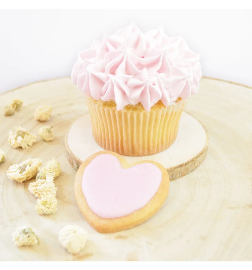 Lebensmittelfarbe natürlich Pulver zuckerwatten-rosa, 10g