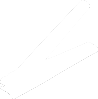 136575-2.jpg