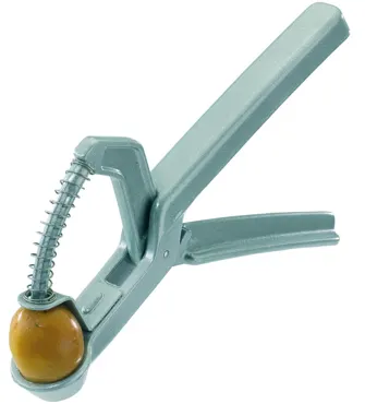 Olivenentsteiner Olivus, 17.5x5x1cm