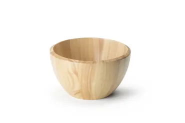 Gummibaum Schüssel 25 cm