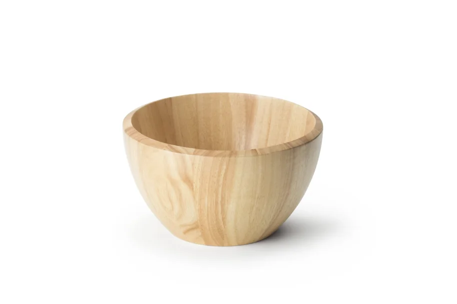 Gummibaum Schüssel 25 cm