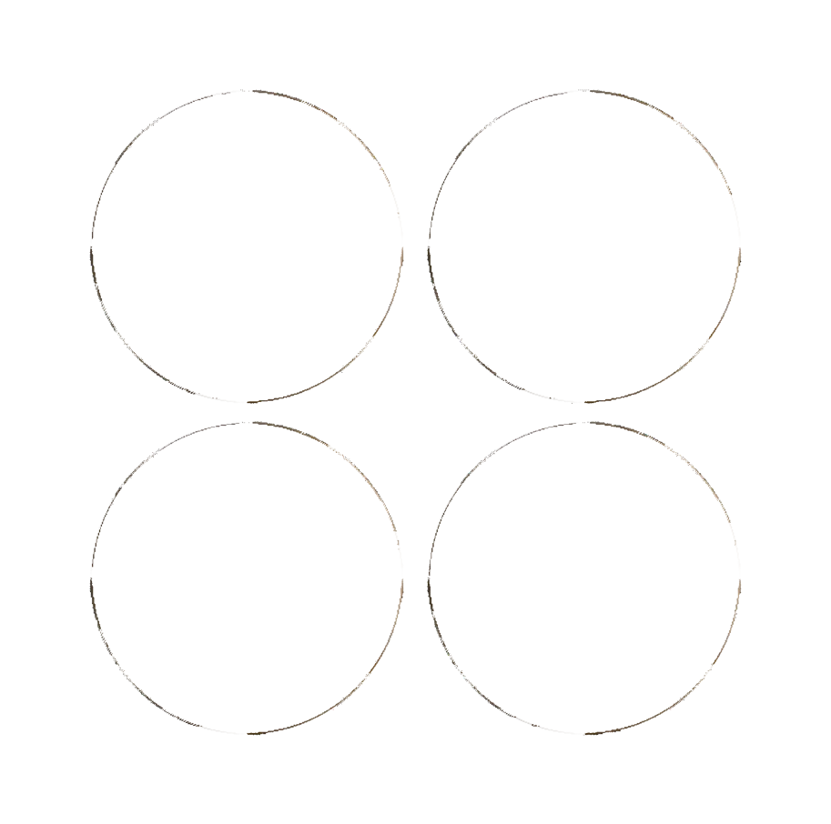 4er Set Gloire Gourmet Teller flach D27cm Aligro