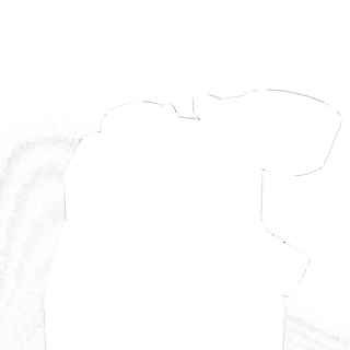 304564-4.jpg