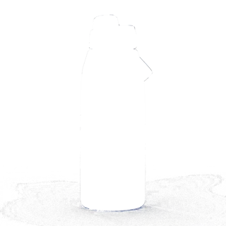 304565.jpg