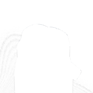 304568-3.jpg