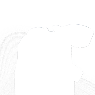 304568-4.jpg