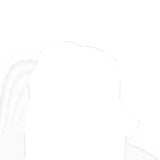 304569-3.jpg