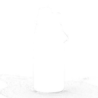 304570.jpg