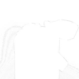 304571-4.jpg