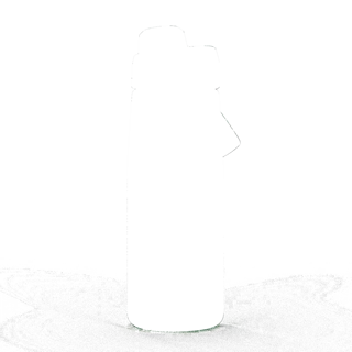 304573.jpg
