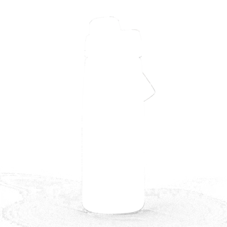 304574.jpg