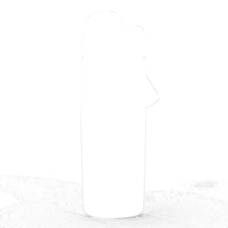 304577-2.jpg