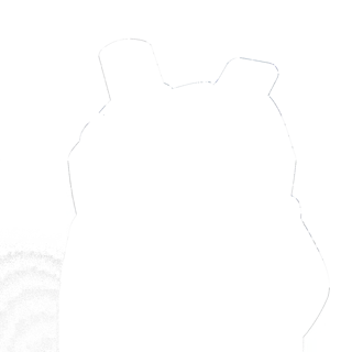304579-3.jpg