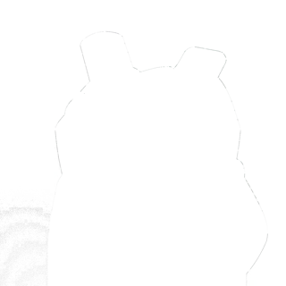 304580-3.jpg