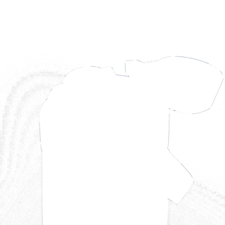 304583-4.jpg
