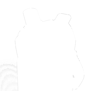 304586-3.jpg