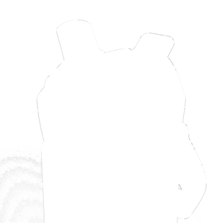 304587-3.jpg
