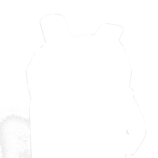 304588-3.jpg