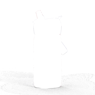 304605.jpg