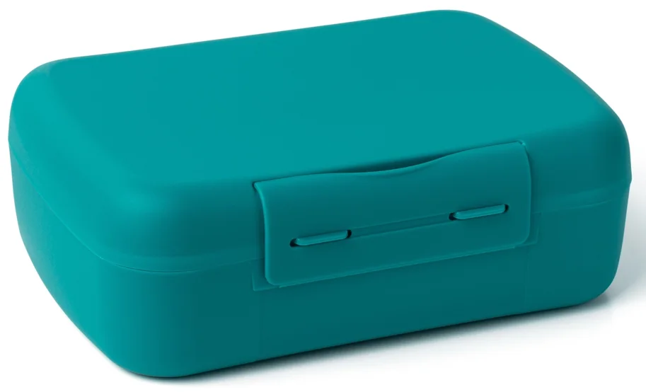 Amuse Basic Brunch Salat Box Göffel 210X156X71mm Dunkelgrün
