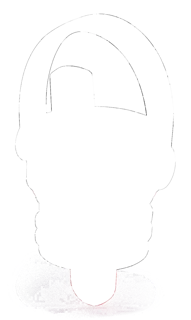 301641.jpg