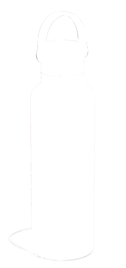 Trinkflasche Standard Flex Deckel 620ml trillium