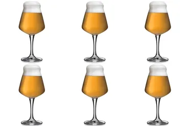 6er Set Teku Degu Kelch 42.5cl 19.6 cm