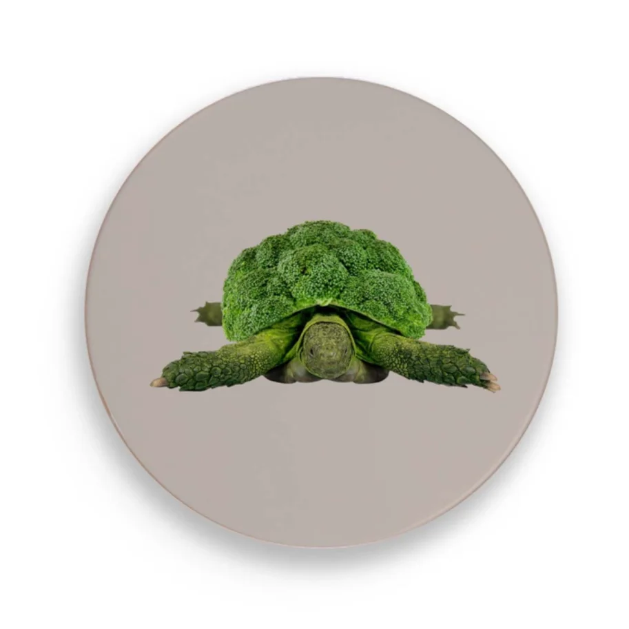 Untersetzer Schildkröte D18cm Keramik