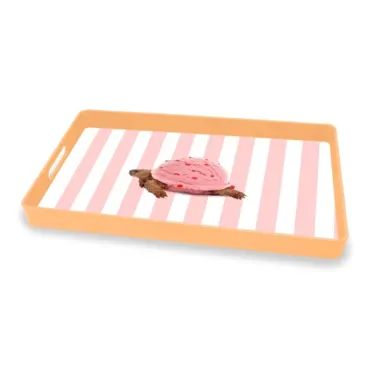 Tablett Schildkröte 40x24cm