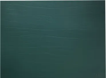 Dumbo Tischset Wald 34x42cm