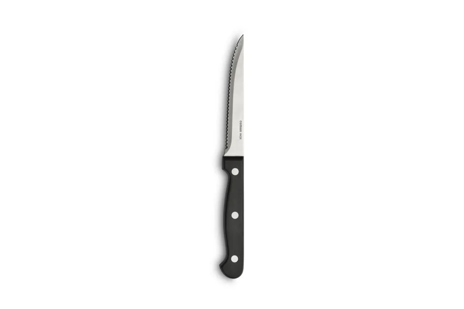 6er Set Steakmesser Blister