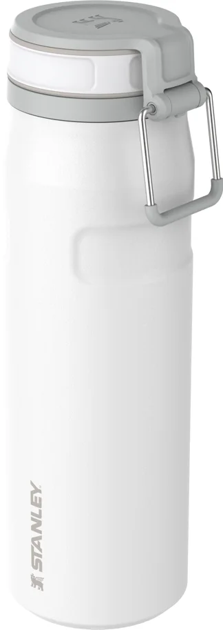 IceFlow Twist Flip Flasche 0.7l frost