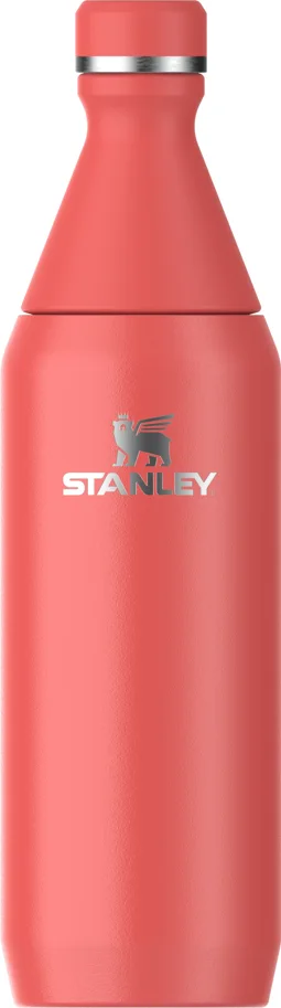 All Day Slim Flasche 0.6l hot coral gloss